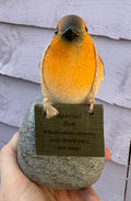 Robin on rock with hanging plaque -Son