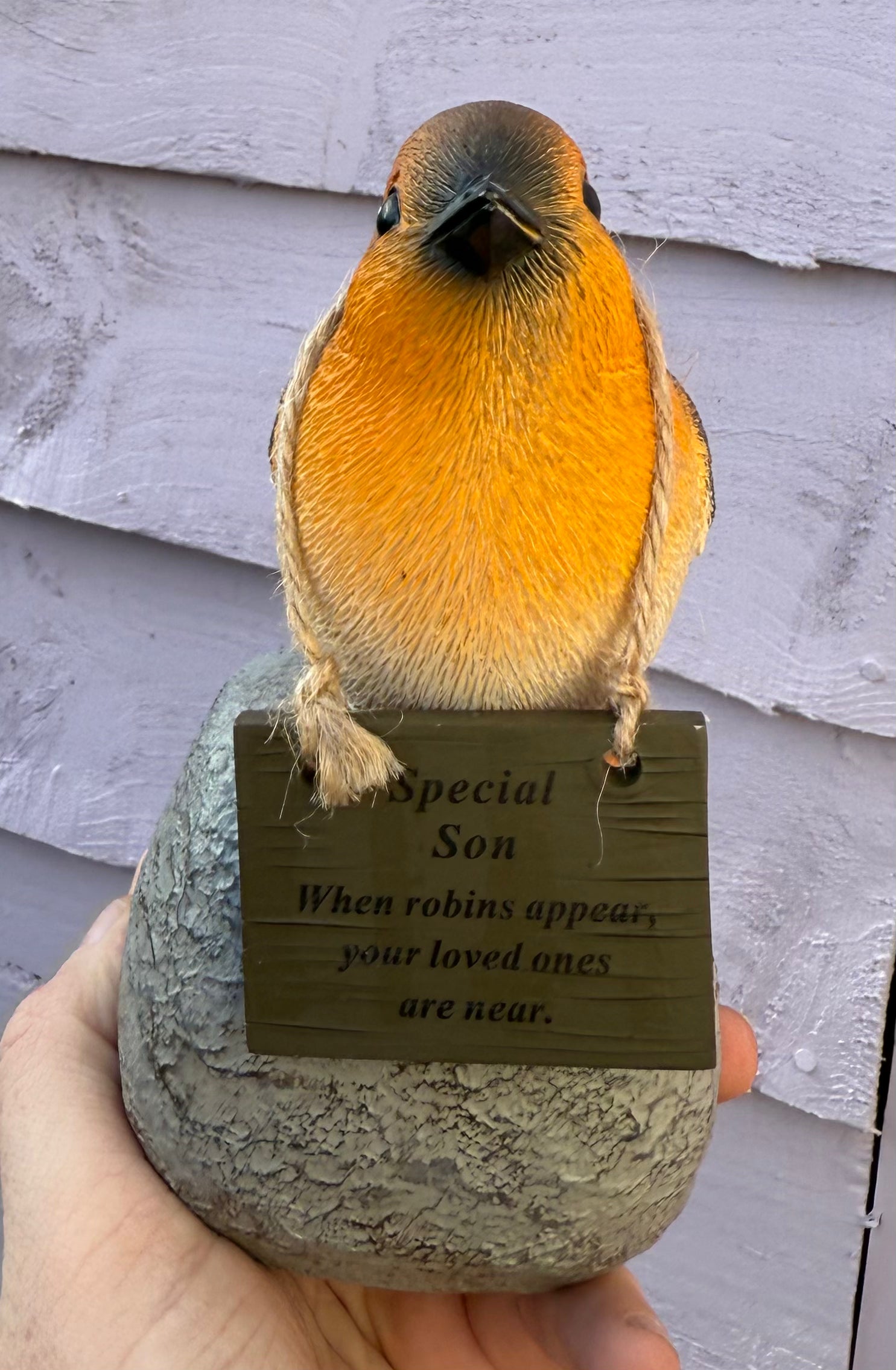 Robin on rock with hanging plaque -Son