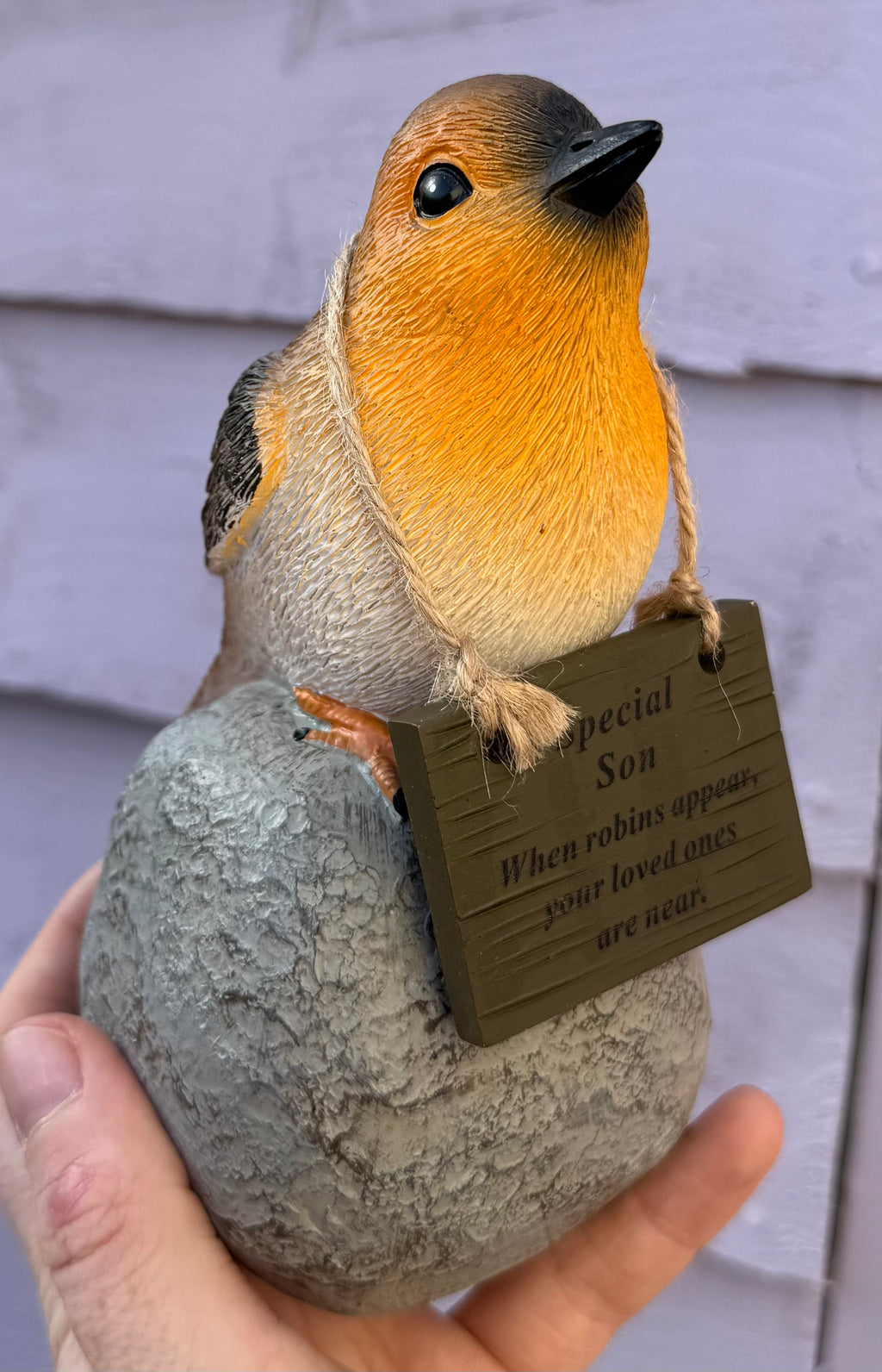 Robin on rock with hanging plaque -Son