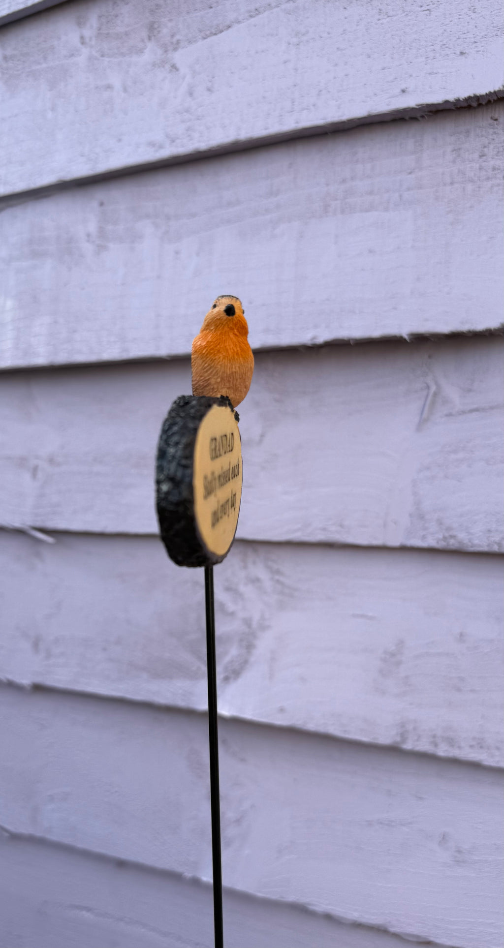 Robin log - Memorial spike
