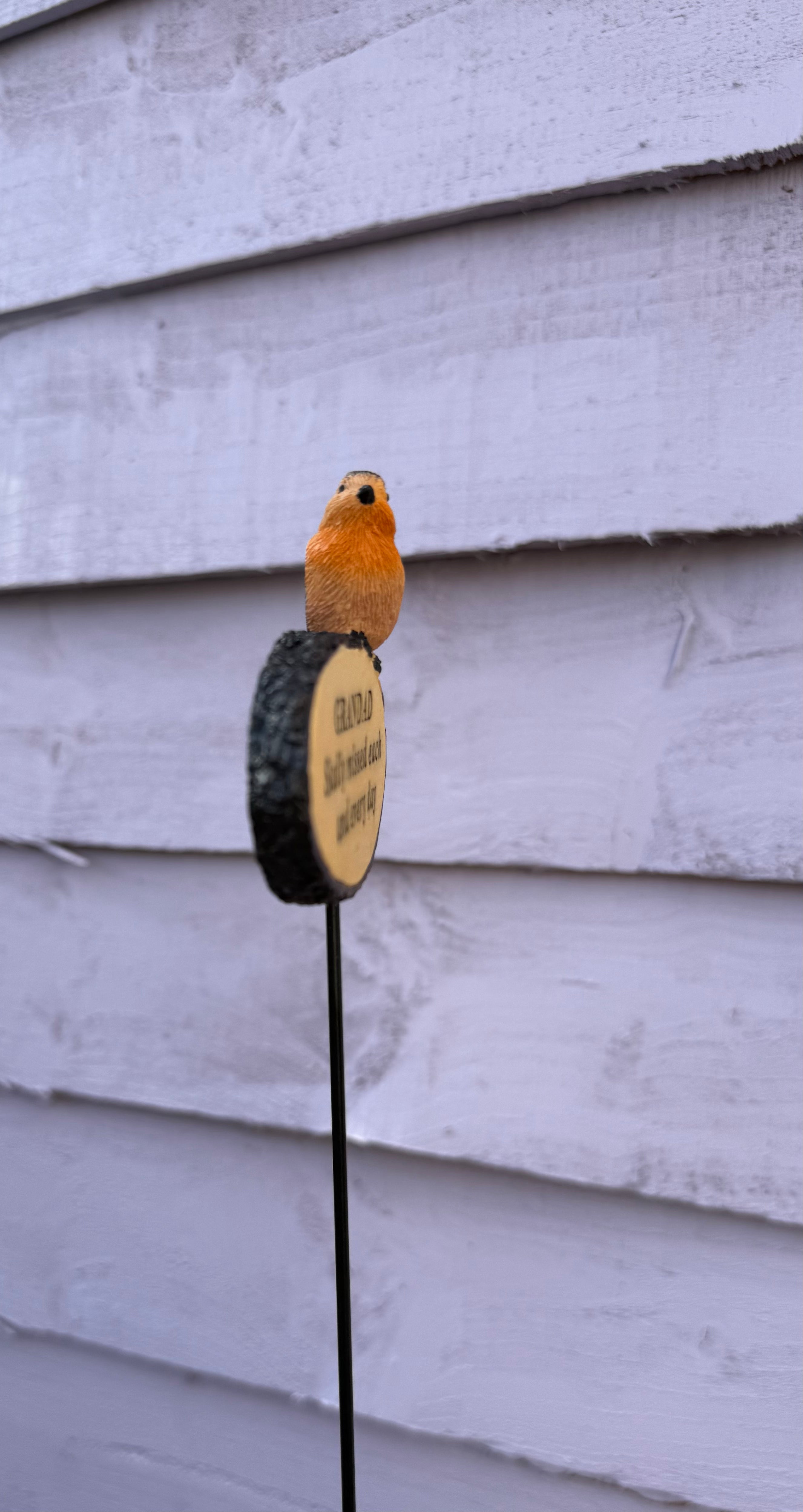 Robin log - Memorial spike